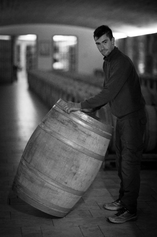 Il Roncal Wine Resort - For Wine Lovers Cividale del Friuli 外观 照片