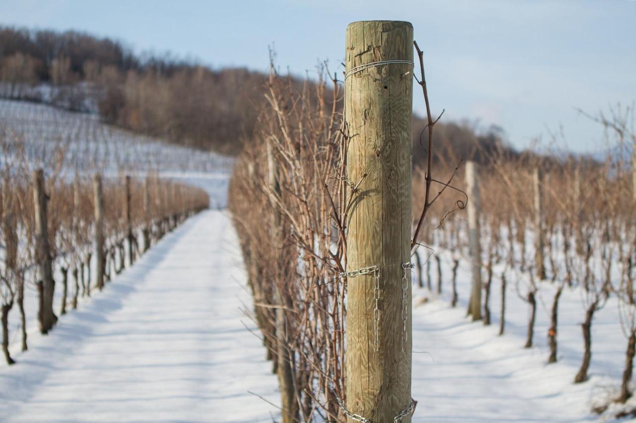 Il Roncal Wine Resort - For Wine Lovers Cividale del Friuli 外观 照片