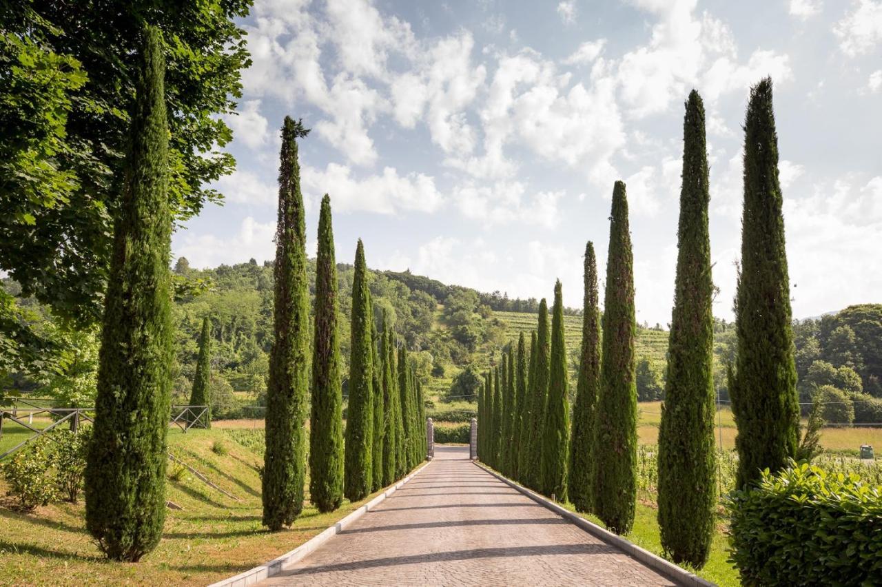 Il Roncal Wine Resort - For Wine Lovers Cividale del Friuli 外观 照片