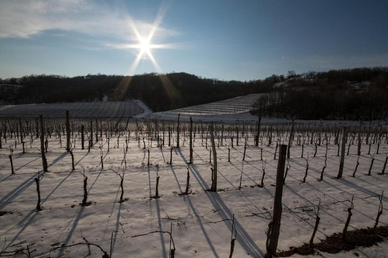 Il Roncal Wine Resort - For Wine Lovers Cividale del Friuli 外观 照片