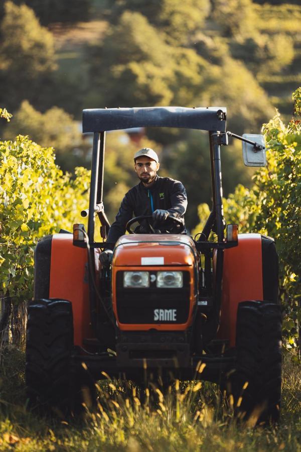 Il Roncal Wine Resort - For Wine Lovers Cividale del Friuli 外观 照片