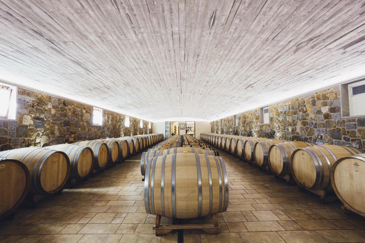 Il Roncal Wine Resort - For Wine Lovers Cividale del Friuli 外观 照片