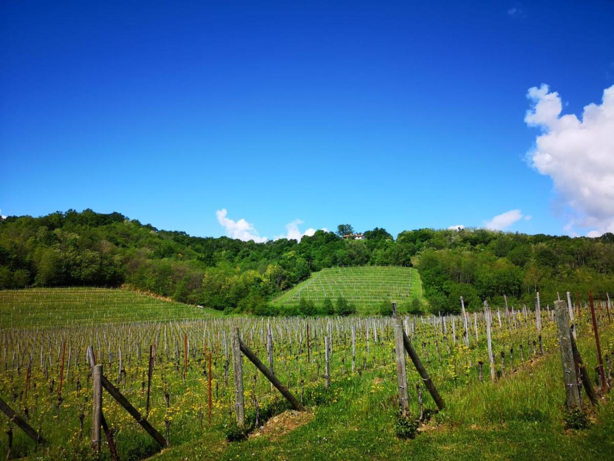 Il Roncal Wine Resort - For Wine Lovers Cividale del Friuli 外观 照片
