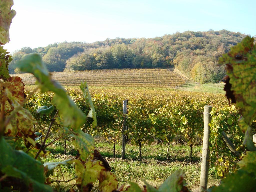 Il Roncal Wine Resort - For Wine Lovers Cividale del Friuli 外观 照片