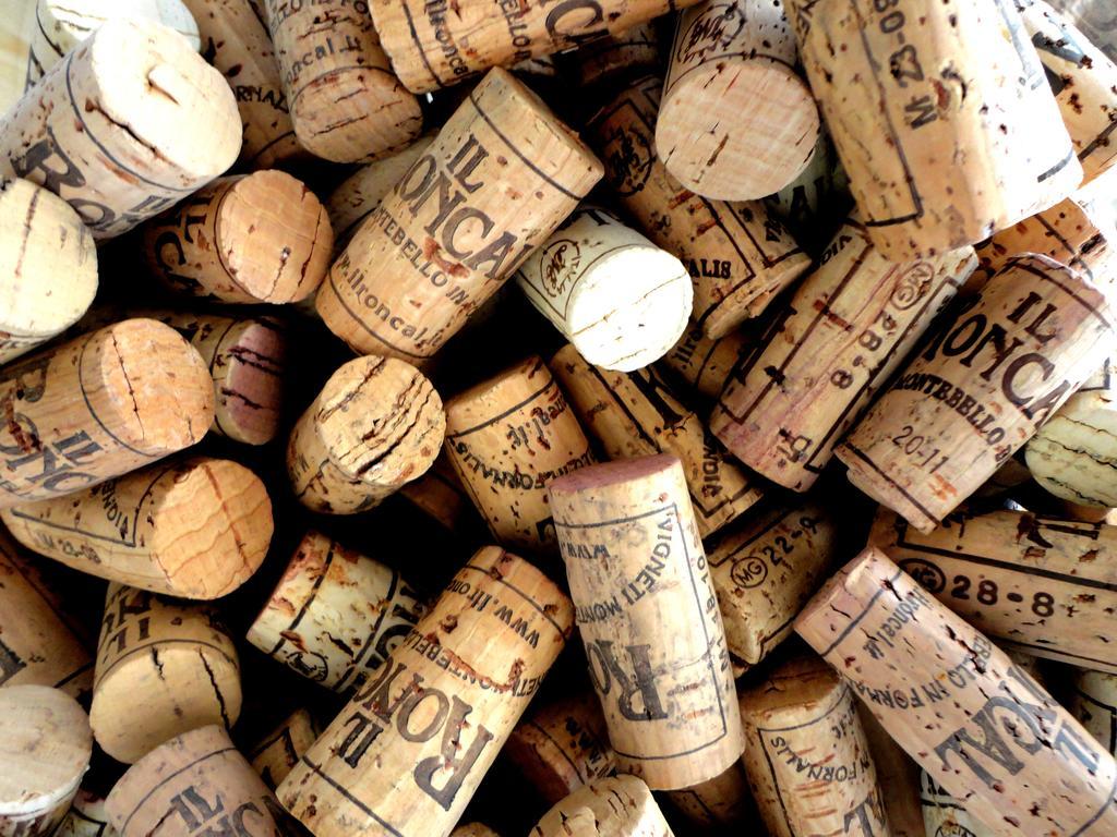 Il Roncal Wine Resort - For Wine Lovers Cividale del Friuli 外观 照片