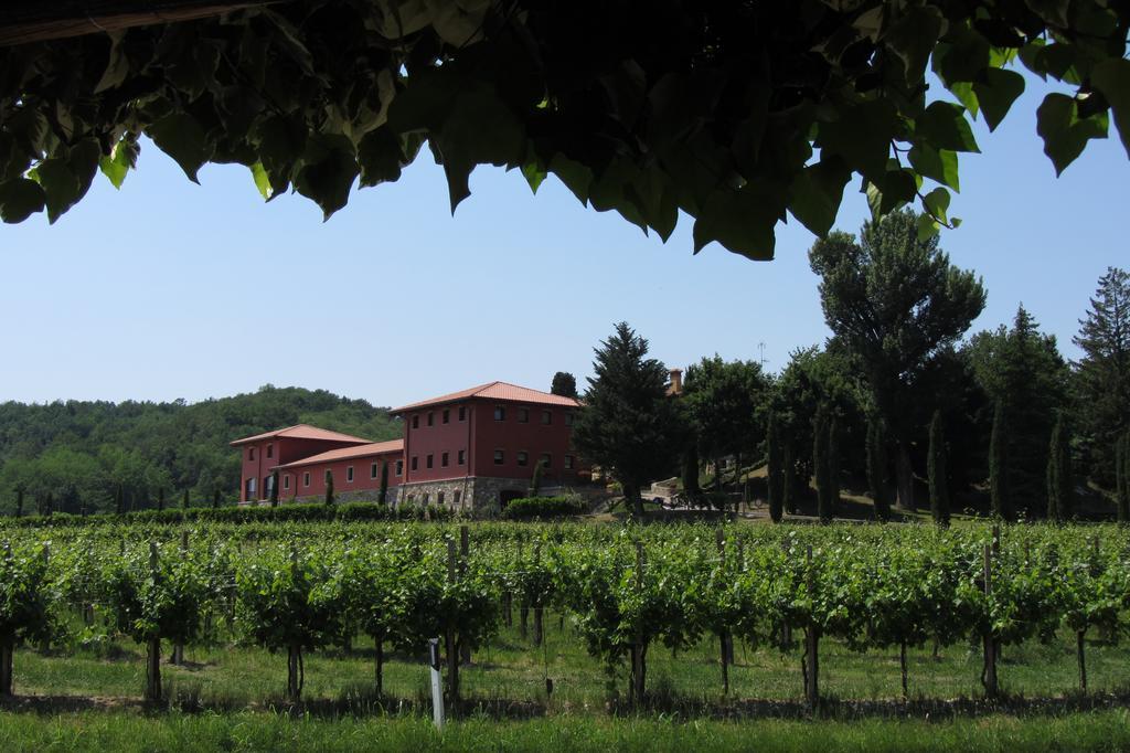 Il Roncal Wine Resort - For Wine Lovers Cividale del Friuli 外观 照片