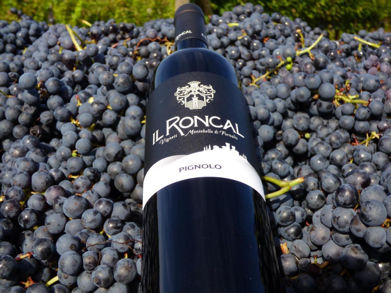 Il Roncal Wine Resort - For Wine Lovers Cividale del Friuli 外观 照片