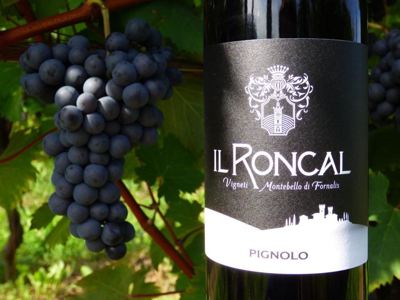 Il Roncal Wine Resort - For Wine Lovers Cividale del Friuli 外观 照片